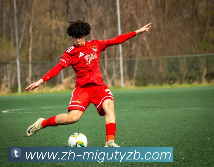 多媒体互动体验